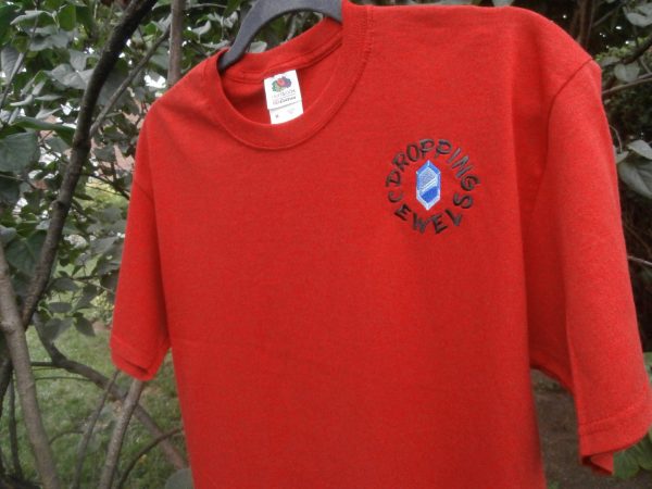 Red Embroidered Tee Shirt - Image 2